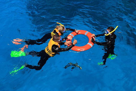 Great Barrier Reef Adventure From Cairns - Pubs Perth 3