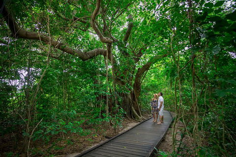 Green Island Eco Adventure From Cairns - Pubs Perth 0