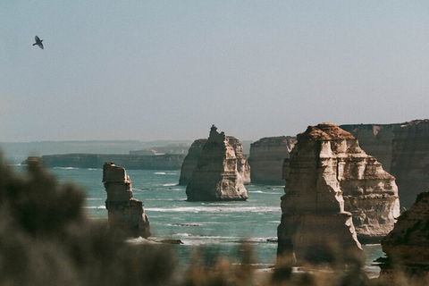 Half-Day Or Full-Day Tour With Private Guide From Melbourne - Pubs Perth 0