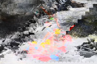 Barron Gorge National Park Half-Day White Water Rafting from Cairns or Port Douglas