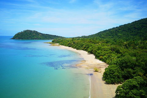 Cape Tribulation, Mossman Gorge, And Daintree Rainforest Day Trip From Cairns Or Port Douglas - Pubs Perth 5
