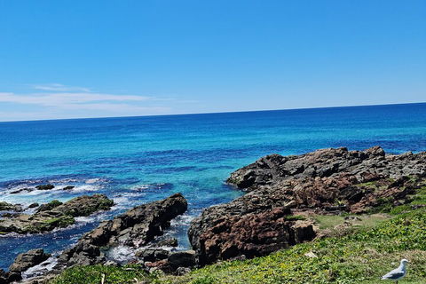 Private Custom Byron Bay Day Out - Pubs Perth 4
