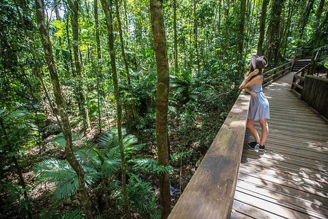 3 Day Great Barrier Reef, Daintree Rainforest And Outback Chillagoe Tour - Pubs Perth 3