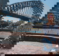 Sydney Private Tours by Locals 100 Personalized See the City Unscripted - Pubs Perth