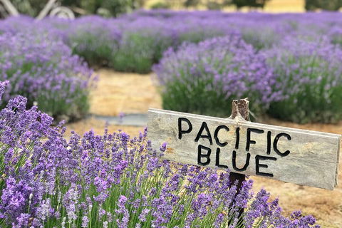 Kangaroo Island Food And Wine Hop-on Hop-off Tour - Pubs Perth 4