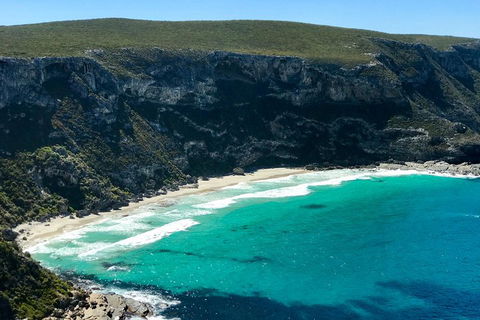Kangaroo Island Scenic Trail Tour - Pubs Perth 4