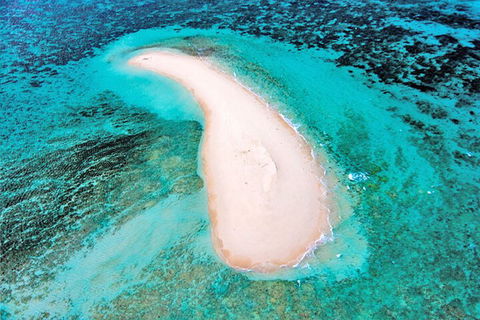 Private Coral Cay Bubbles Tour - Pubs Perth 3