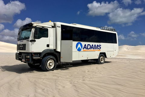 Pinnacles Desert, Koalas And Sandboarding 4WD Day Tour From Perth - Pubs Perth 2