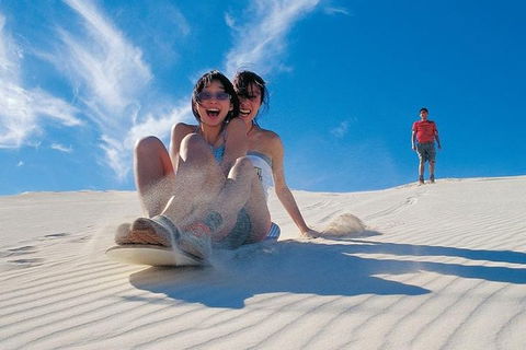 Pinnacles Desert, Koalas And Sandboarding 4WD Day Tour From Perth - Pubs Perth 3