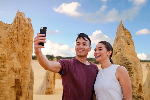 Pinnacles Desert, Koalas And Sandboarding 4WD Day Tour From Perth - Pubs Perth 4