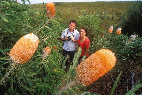 Best Of Perth Wildflower Season Day Trip - Pubs Perth 0