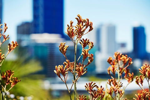 Best Of Perth Wildflower Season Day Trip - Pubs Perth 4