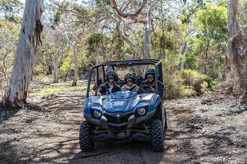 Small-Group Buggy Tour At Little Sahara With Guide - Pubs Perth 0
