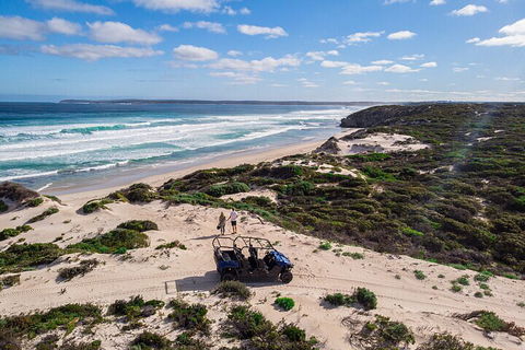Small-Group Buggy Tour At Little Sahara With Guide - Pubs Perth 1