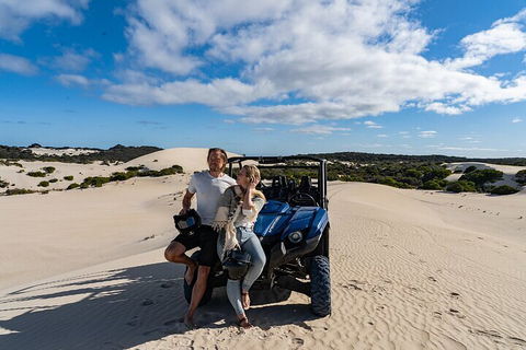 Small-Group Buggy Tour At Little Sahara With Guide - Pubs Perth 2
