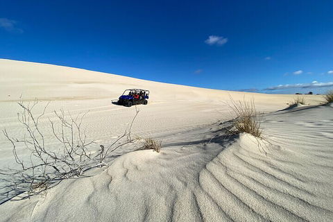 Small-Group Buggy Tour At Little Sahara With Guide - Pubs Perth 3