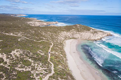 Small-Group Buggy Tour At Little Sahara With Guide - Pubs Perth 4