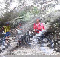 2 Hour Bike Tour in Kangaroo Island - Pubs Perth