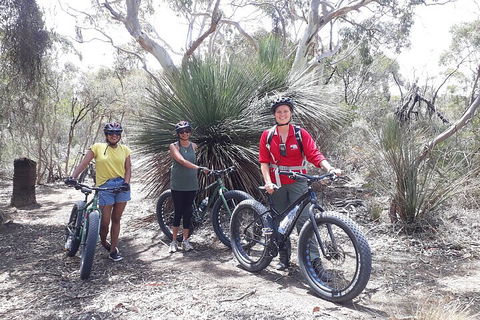 2 Hour Bike Tour In Kangaroo Island - Pubs Perth 0