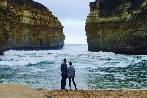 Great Ocean Road Small-Group Ecotour From Melbourne - Pubs Perth 1