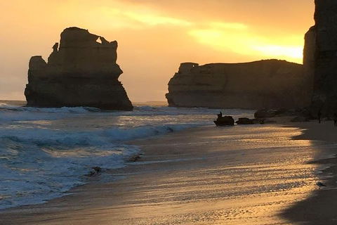 Great Ocean Road Small-Group Ecotour From Melbourne - Pubs Perth 5