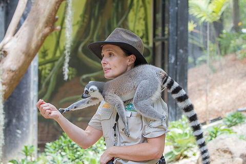 Currumbin Wildlife Sanctuary General Entry Ticket - Pubs Perth 1