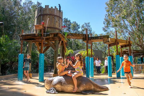 Currumbin Wildlife Sanctuary General Entry Ticket - Pubs Perth 5