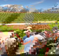 Yarra Valley Wine and Winery Tour from Melbourne - Pubs Perth