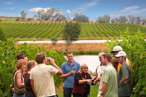 Yarra Valley Wine And Winery Tour From Melbourne - Pubs Perth 0