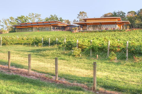 Yarra Valley Wine And Winery Tour From Melbourne - Pubs Perth 1