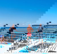 Calypso Outer Great Barrier Reef Cruise from Port Douglas - Pubs Perth