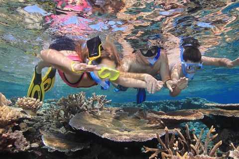Calypso Outer Great Barrier Reef Cruise From Port Douglas - Pubs Perth 3