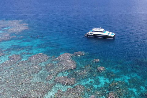 Calypso Outer Great Barrier Reef Cruise From Port Douglas - Pubs Perth 4