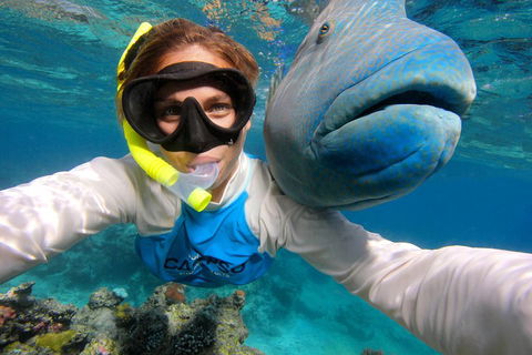 Calypso Outer Great Barrier Reef Cruise From Port Douglas - Pubs Perth 5