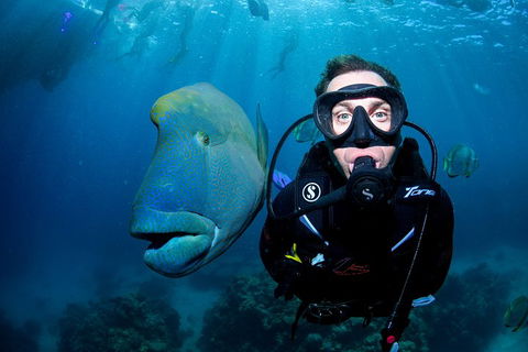 Full Day Reef Cruise Including 10 Minute Heli Scenic Flight: Get High Package - Pubs Perth 1