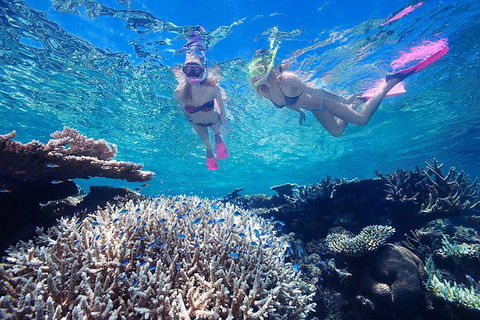 Great Barrier Reef Scenic Helicopter Tour And Cruise From Cairns - Pubs Perth 3