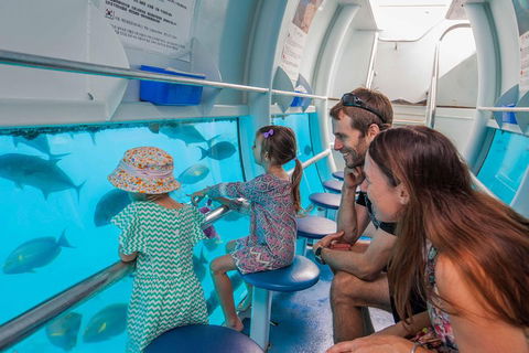 Scenic Helicopter Flight To Moore Reef And Return Snorkeling Cruise From Cairns - Pubs Perth 3