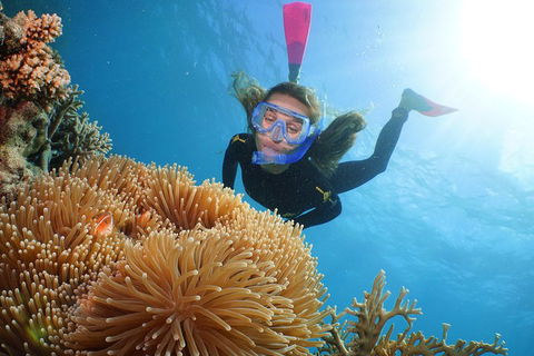 Helicopter And Cruise Packages From Port Douglas - Pubs Perth 3