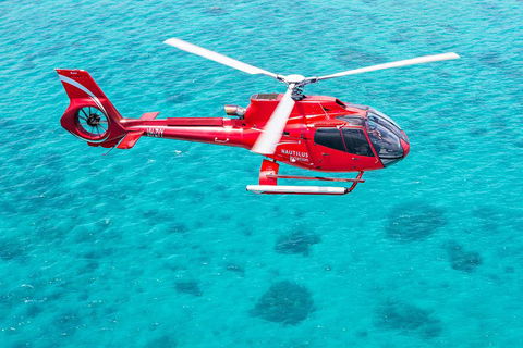 Helicopter And Cruise Packages From Port Douglas - Pubs Perth 5
