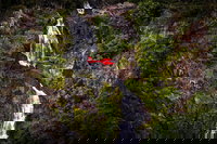 Ultimate Great Barrier Reef and Rainforest 45-minute Helicopter Tour, Cairns