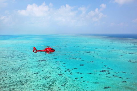 Ultimate Great Barrier Reef And Rainforest 45-minute Helicopter Tour - Pubs Perth 2