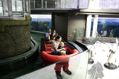 Sydney Attractions Pass: SEA LIFE Aquarium, Sydney Tower Eye, WILD LIFE Zoo And Madame Tussauds - Pubs Perth 0