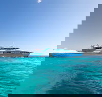 Fremantle to Rottnest Island Roundtrip Ferry Ticket - Pubs Perth