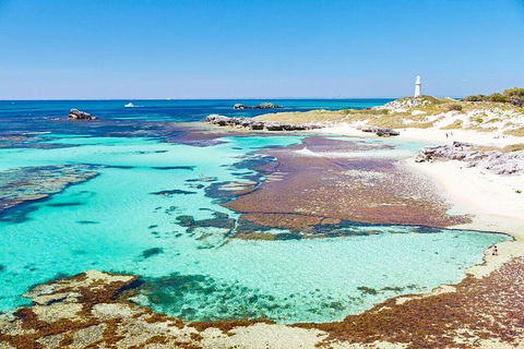 Fremantle To Rottnest Island Roundtrip Ferry Ticket - Pubs Perth 2