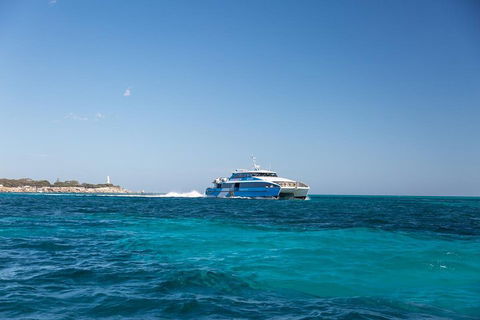 Fremantle To Rottnest Island Roundtrip Ferry Ticket - Pubs Perth 5