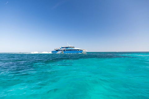 Rottnest Island Bike & Ferry Package From Fremantle - Pubs Perth 0