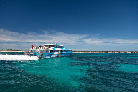 Perth To Rottnest Island Roundtrip Ferry Ticket - Pubs Perth 4
