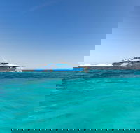 Rottnest Island Bayseeker Day Trip from Perth - Pubs Perth
