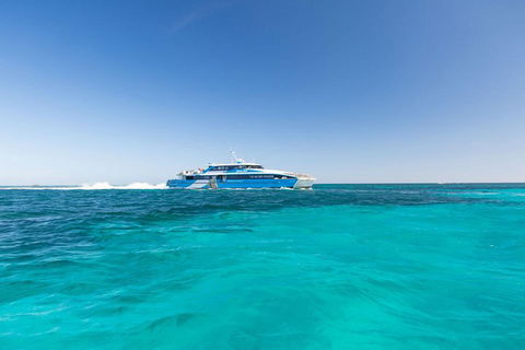 Rottnest Island Bayseeker Day Trip From Perth - Pubs Perth 0