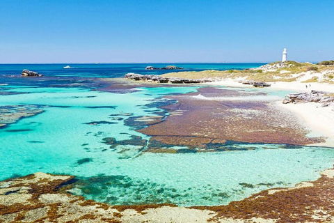 Rottnest Island Bayseeker Day Trip From Perth - Pubs Perth 4